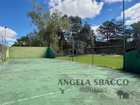 Jacaranda, Parque Jularo.