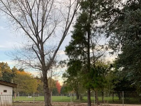 Hermoso terreno arbolado