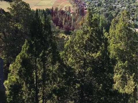 Terreno en Venta en San Martin de los Andes, Lácar