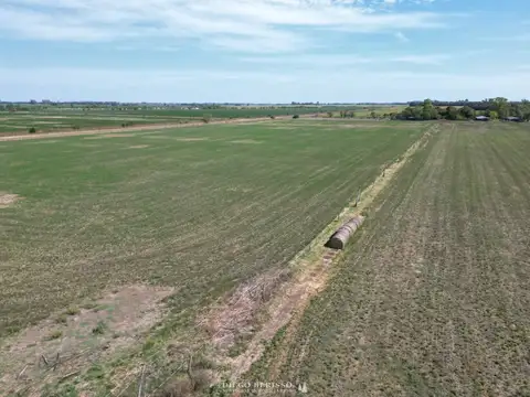 CAMPO EN VENTA SAN ANDRES DE GILES RUTA 8 KM 90 100