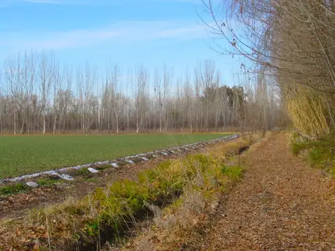 Campo en Venta en La Primavera, Tunuyán