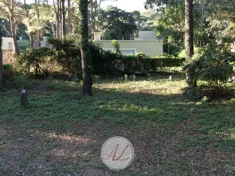 Arcachon 500