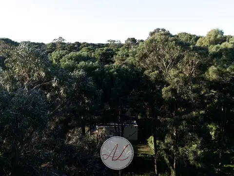 Terreno en Venta 43  mts Fondo