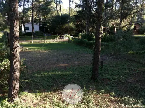 Terreno en Venta 15  mts Frente