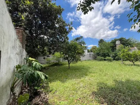Dr. Guines De la quintana 3600