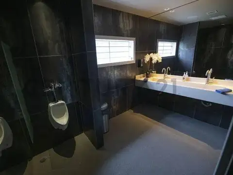 Local en Alquiler 2025 años