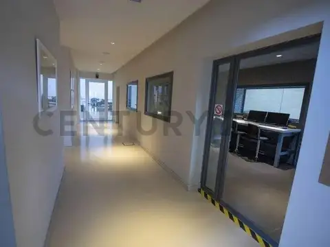 Local en Alquiler 2025 años