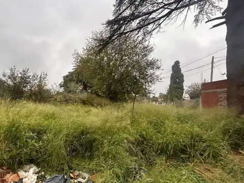 Julio Bejanele 7200