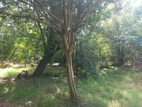 Int Marcos Elizondo & Ruta 40 100