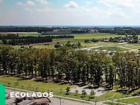 Venta Terreno Ecolagos Este - Lote 416 (300 m2) - General Lagos