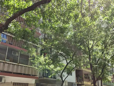 Oficina Planta Baja. Cabildo y Congreso