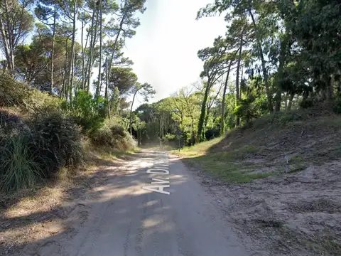 Terreno en Venta 41  mts Fondo