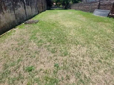 MANUELA PEDRAZA 3900