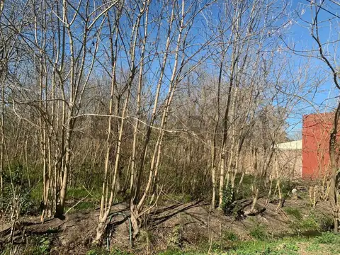 Lote en Venta en City Bell, en calle 450 e/ 28 y 28 bis. Lote propio N°25 con una superficie tot...