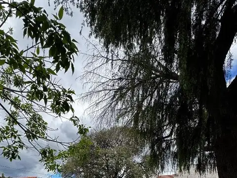 Terreno en Venta de 437,0 m2