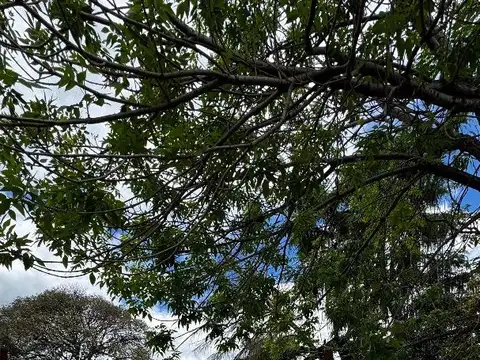 LOTE EN VENTA - MERLO 