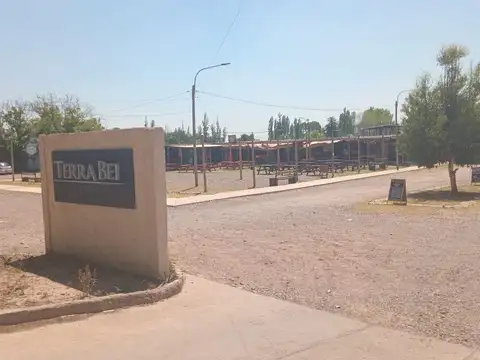 SAN MARTIN 3000
