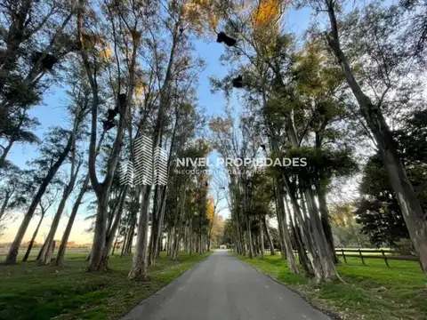 Ruta 6, KM 150