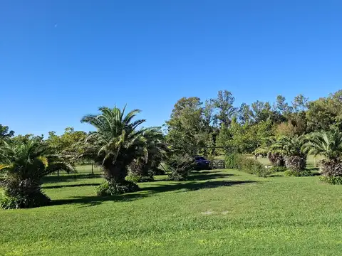 Campo de 32 ha. con infraestructura ideal Club de Polo o Equitación a 14 km. de Capilla del Señor