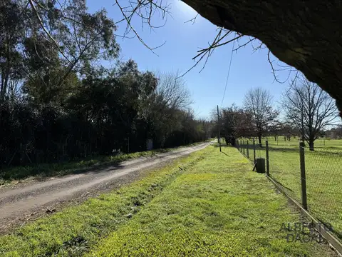 411 e/ 139 y 141