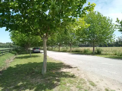 Terreno en Venta de 1530,0 m2