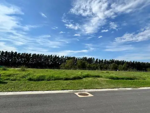 Nuevo Bella Vista, Senderos Ii