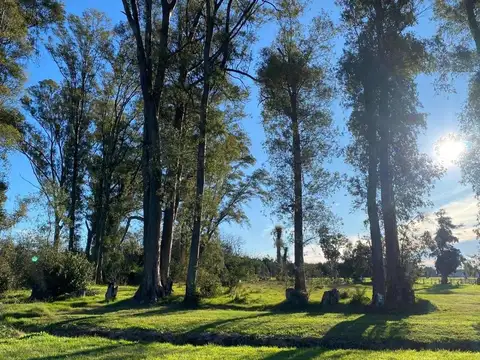Terreno en Venta en Mercedes, Partido de Mercedes