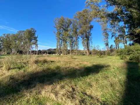 Terreno en Venta en Mercedes, USD 45.000