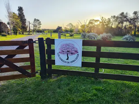  Loteo Los Cerezos de Open Door Lote 1 MZ 10 H