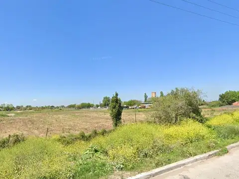 José Hernández 1900