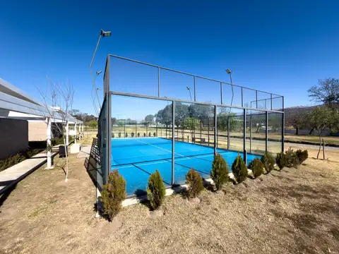 La Arbolada, Lote 100