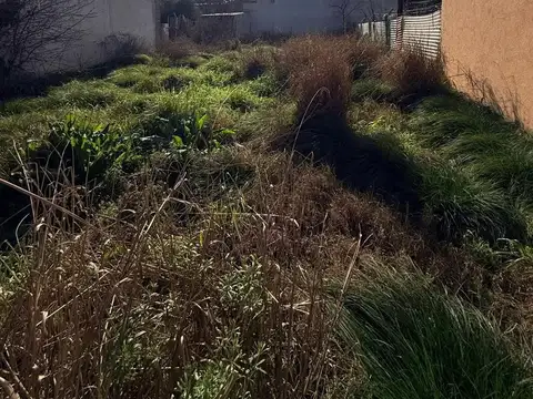 Terreno en Venta de 300,0 m2