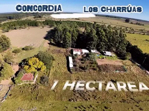 Chacra ideal para emprendimiento productivo