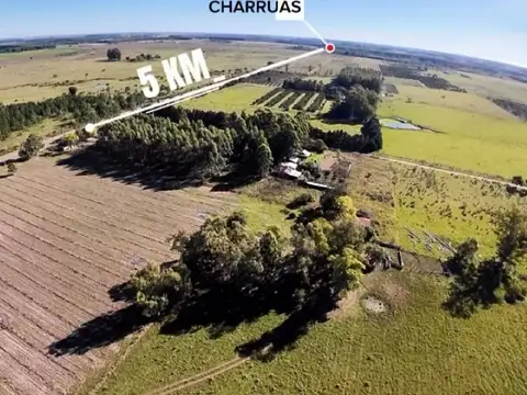 Los Charruas
