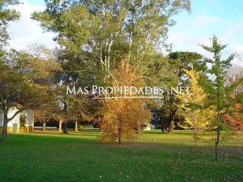 Venta Terreno / Lote interno en Campo Daromy San Vicente 100