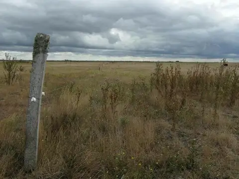 Cod 1048- Campo 176 en General Lavalle (34)