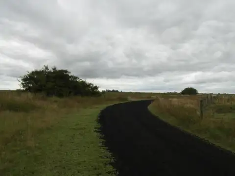 Cod 1048- Campo 176 en General Lavalle (34)