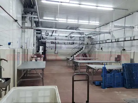 PLANTA FRIGORÍFICA HABILITADA DE 1560 M²