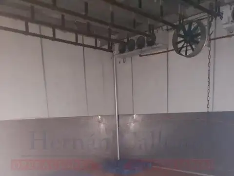 PLANTA FRIGORÍFICA HABILITADA DE 1560 M²