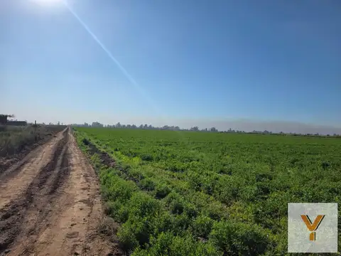 Campo en Venta - 20 hectáreas - Mendoza