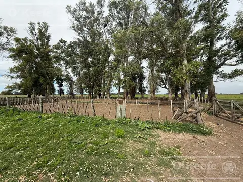 Campo en venta de 450 has en Magdalena