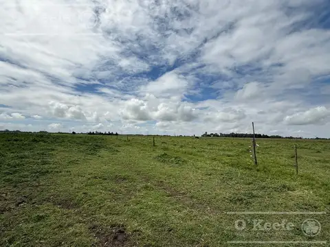 Campo en venta de 450 has en Magdalena