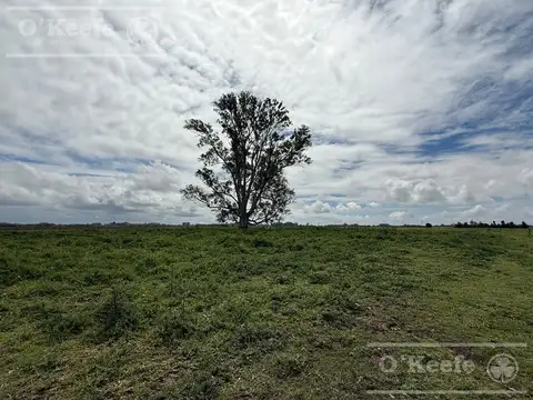 Campo en venta de 450 has en Magdalena