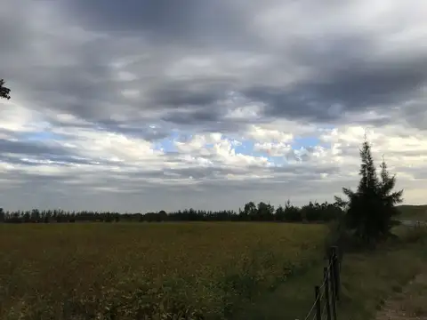 Terreno en Venta de 20000,0 m2