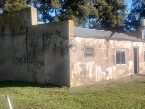 Campo de 300ha Ayacucho