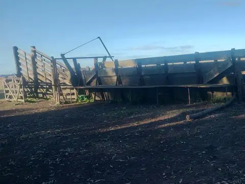 Campo de 300ha Ayacucho