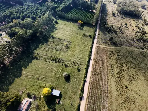 Colonia Argetina