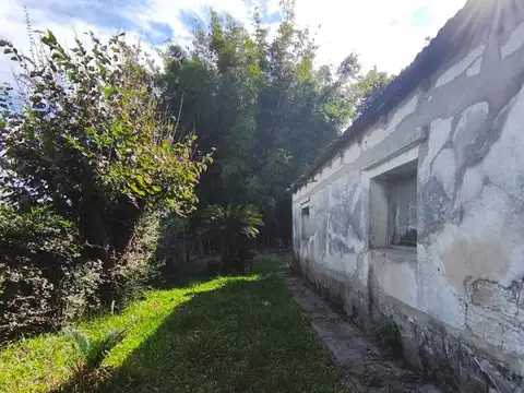 Colonia Argetina