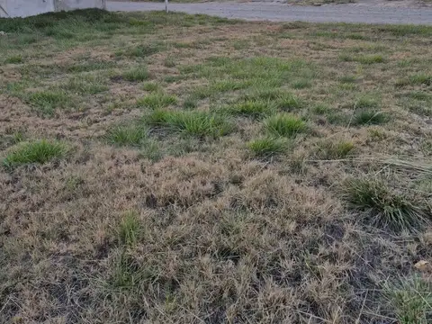 TERRENO EN VENTA EN LOTEO LOS JUANES ALLEN