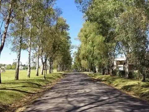 Terreno en Venta 50  mts Fondo